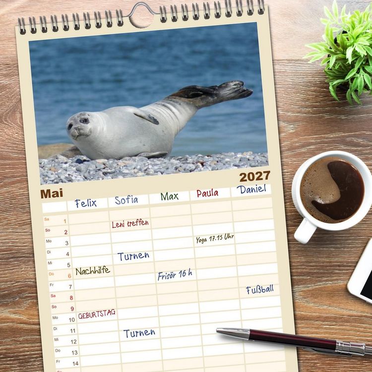 Produktbild: Familienplaner 2027 - Das Leben der Robben mit 5 Spalten (Wandkalender, 21 x 45 cm) CALVENDO