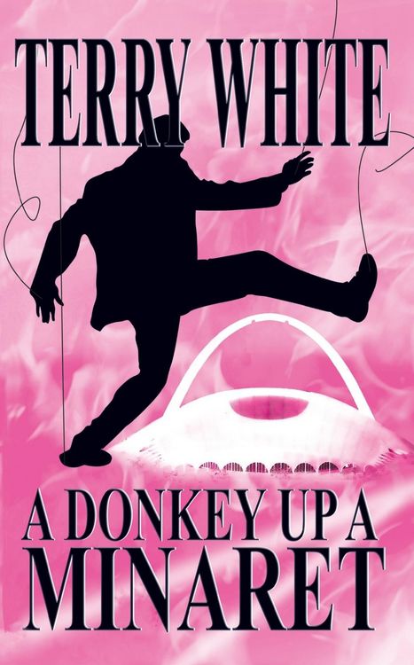 Produktbild: Donkey Up A Minaret