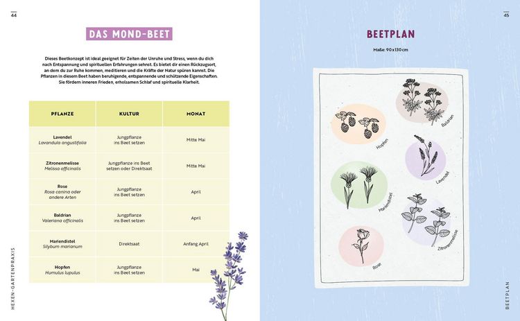 Produktbild: Gartenmomente: Magie im Garten