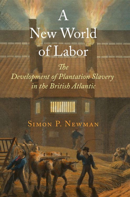 Produktbild: A New World of Labor