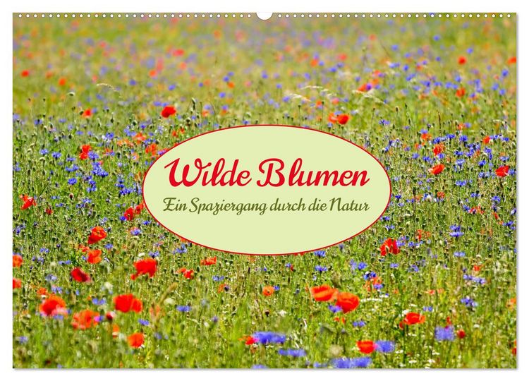 Produktbild: Wilde Blumen - ein Spaziergang durch die Natur (Wandkalender 2026 DIN A2 quer), CALVENDO Monatskalender
