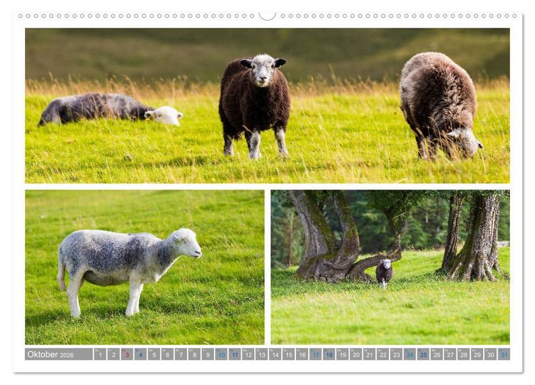 Produktbild: Sehnsucht Wales - Collagen eines Landes (Wandkalender 2026 DIN A2 quer), CALVENDO Monatskalender