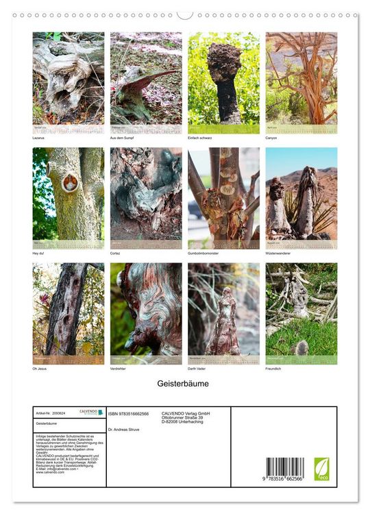 Produktbild: Geisterb&auml;ume (hochwertiger Premium Wandkalender 2026 DIN A2 hoch), Kunstdruck in Hochglanz