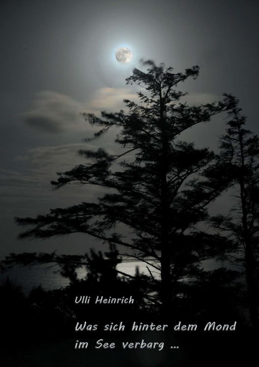 Produktbild: Was sich hinter dem Mond im See verbarg ...