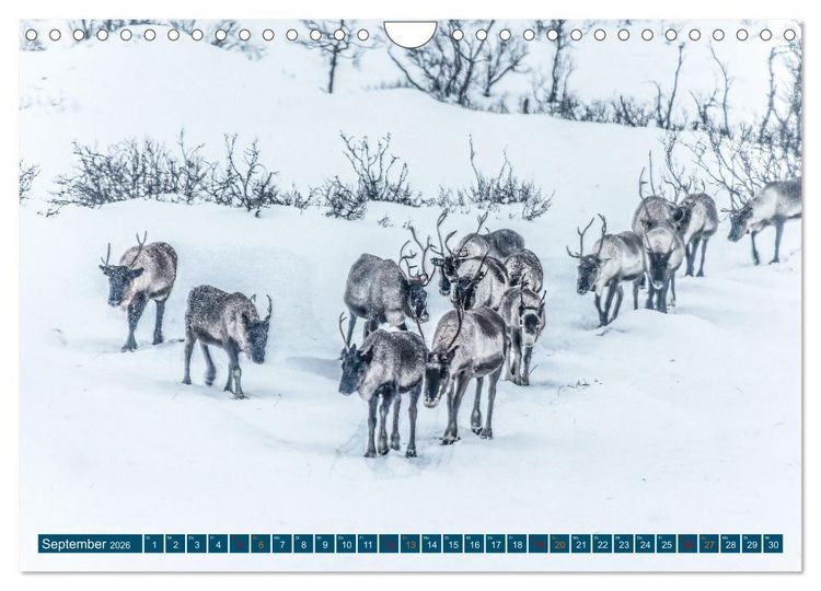 Produktbild: Von Troms&ouml; nach Sommaroy - Winter in Norwegen (Wandkalender 2026 DIN A4 quer), CALVENDO Monatskalender