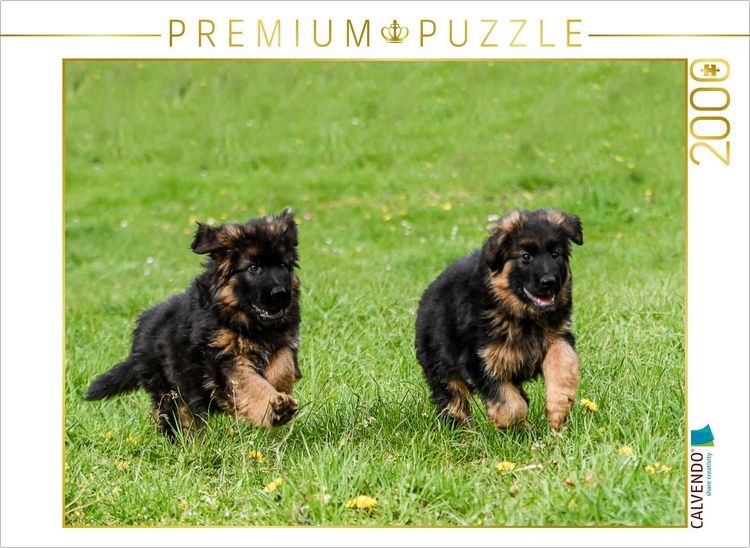 Produktbild: CALVENDO Puzzle Lauf um die Wette | 2000 Teile Lege-Gr&ouml;&szlig;e 90x67cm Foto-Puzzle f&uuml;r gl&uuml;ckliche Stunden