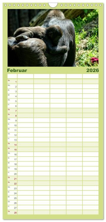 Produktbild: Familienplaner 2026 - Gorillas - Die sanften Wilden mit 5 Spalten (Wandkalender, 21 x 45 cm) CALVENDO