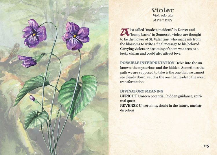 Produktbild: The Herbalist's Oracle