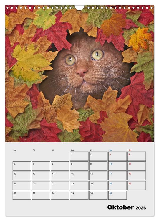 Produktbild: Crazy Catz. (Wandkalender 2026 DIN A3 hoch), CALVENDO Monatskalender