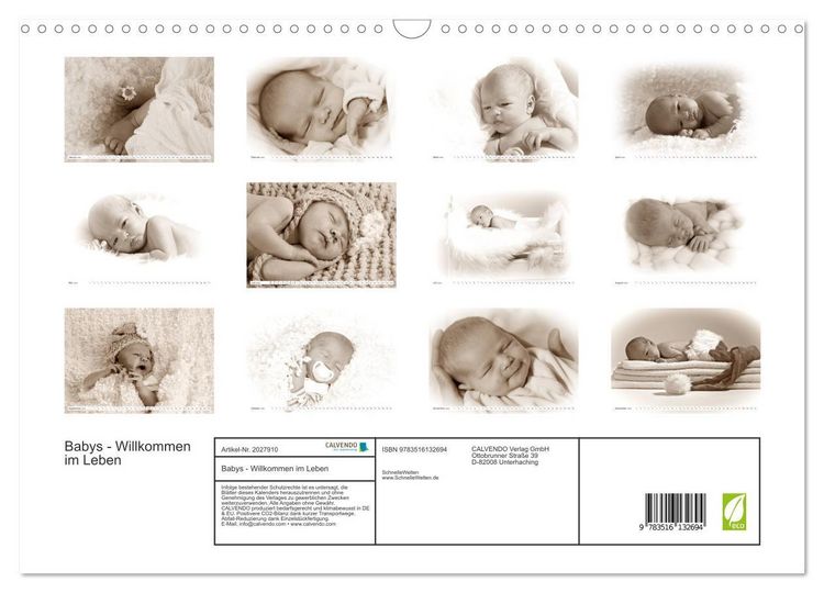 Produktbild: Babys - Willkommen im Leben (Wandkalender 2026 DIN A3 quer), CALVENDO Monatskalender