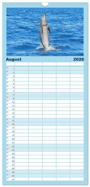 Produktbild: Familienplaner 2026 - Delfine: Elegante Wellenreiter mit 5 Spalten (Wandkalender, 21 x 45 cm) CALVENDO