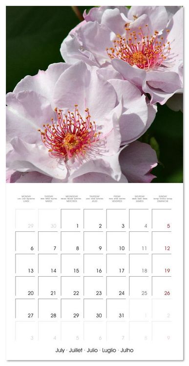 Produktbild: LE PARFUM ENVO&Ucirc;TANT DES ROSES (Calendrier mural carr&eacute; 2026 30x30 cm) Calendrier double avec une page pour vos prises de notes