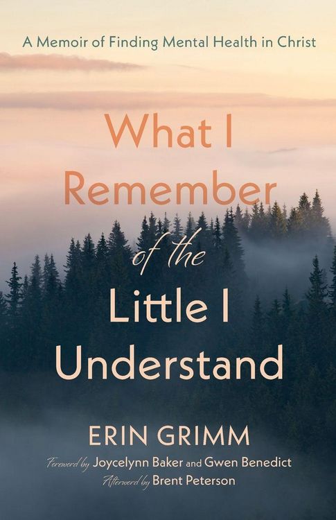Produktbild: What I Remember of the Little I Understand