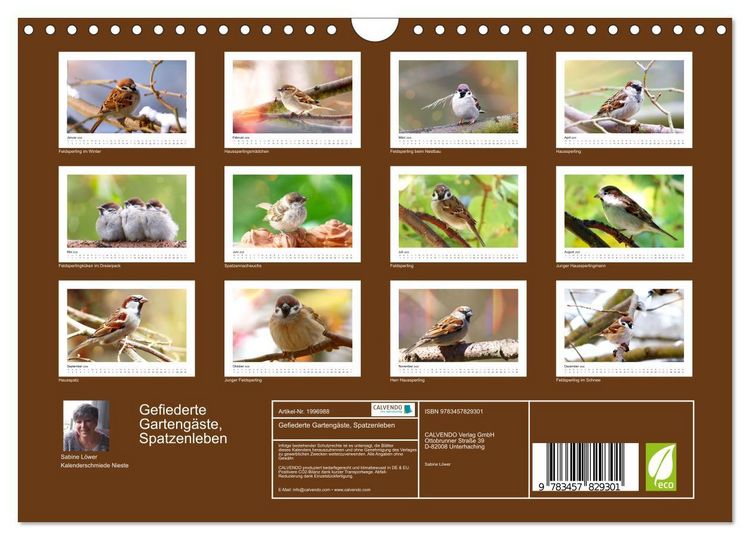 Produktbild: Gefiederte Garteng&auml;ste, Spatzenleben (Wandkalender 2026 DIN A4 quer), CALVENDO Monatskalender