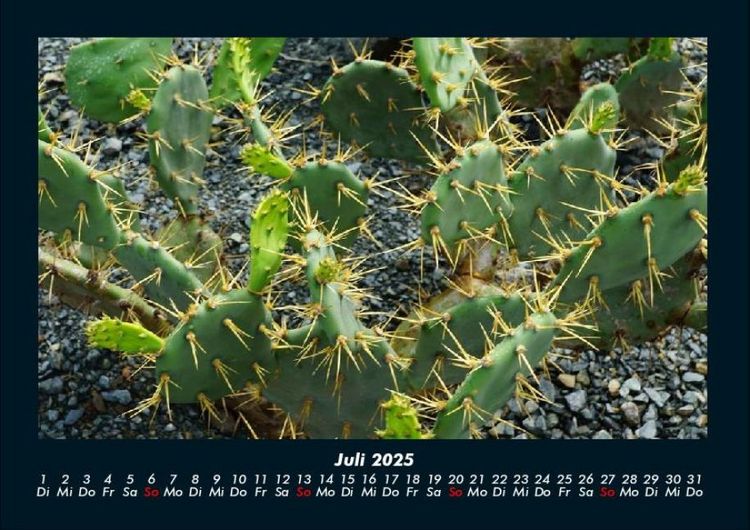 Produktbild: Naturlandschaften 2025 Fotokalender DIN A4