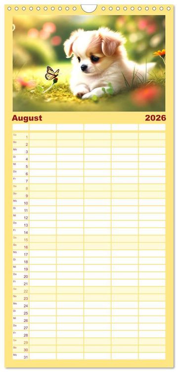 Produktbild: Familienplaner 2026 - Chihuahua-Welpen &ndash; Kleine Wunder mit 5 Spalten (Wandkalender, 21 x 45 cm) CALVENDO