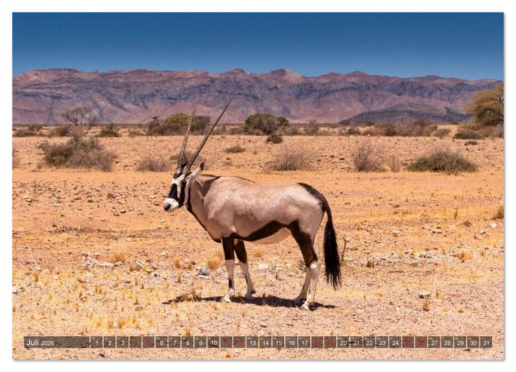 Produktbild: Namibia und Botswana - Entdeckungen in der Weite Afrikas (hochwertiger Premium Wandkalender 2026 DIN A2 quer), Kunstdruck in Hochglanz