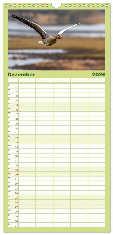 Produktbild: Familienplaner 2026 - Graug&auml;nse in heimischer Umgebung mit 5 Spalten (Wandkalender, 21 x 45 cm) CALVENDO