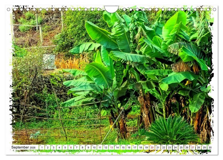 Produktbild: Im Norden von Teneriffa (Wandkalender 2026 DIN A4 quer), CALVENDO Monatskalender