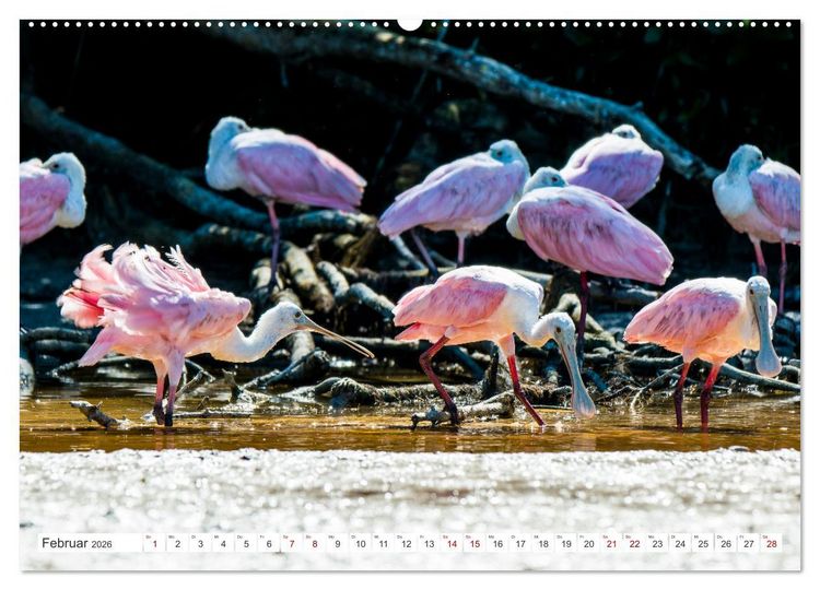 Produktbild: Unterwegs auf Yucatan Mexiko (hochwertiger Premium Wandkalender 2026 DIN A2 quer), Kunstdruck in Hochglanz