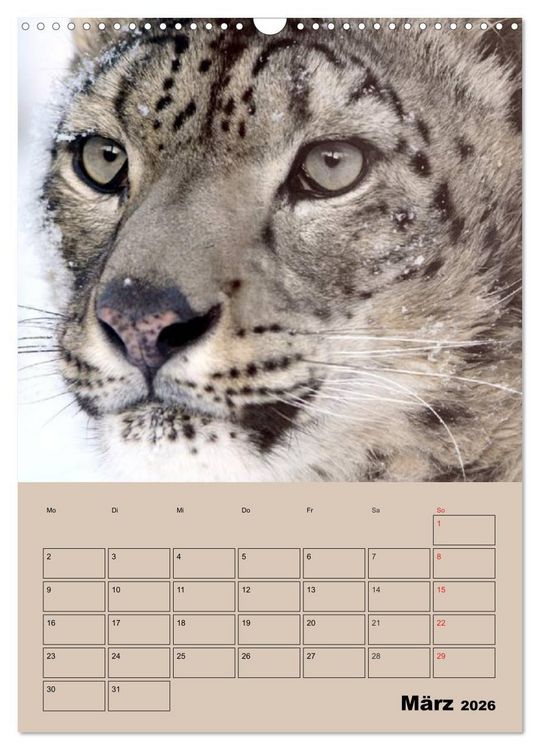 Produktbild: Gro&szlig;katzen. Raubkatzengesichter (Wandkalender 2026 DIN A3 hoch), CALVENDO Monatskalender
