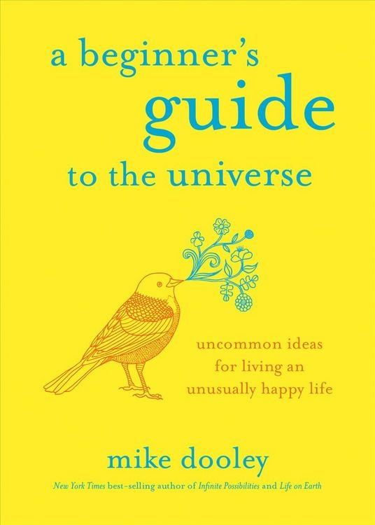 Produktbild: A Beginner's Guide to the Universe