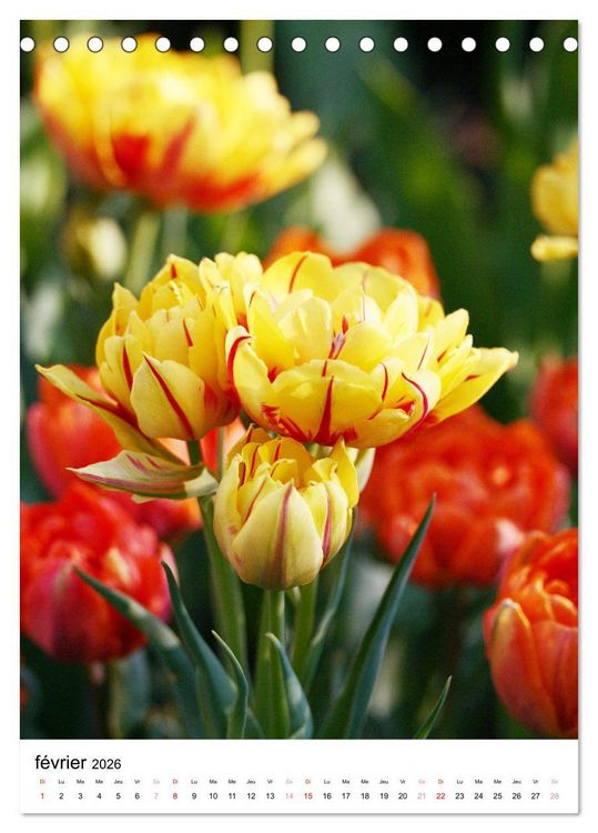 Produktbild: Joie avec des fleurs (Calendrier de bureau 2026 DIN A5 horizontal), CALVENDO calendrier mensuel