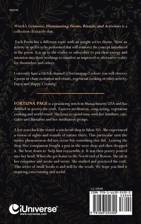 Produktbild: Witch's Grimoire Illuminating Poems, Rituals and Activities