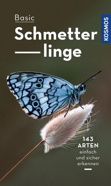Produktbild: Basic Schmetterlinge