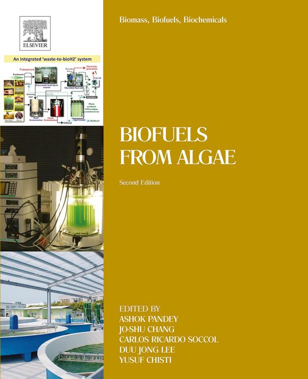 Produktbild: Biomass, Biofuels, Biochemicals
