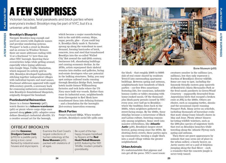 Produktbild: Lonely Planet Pocket Brooklyn