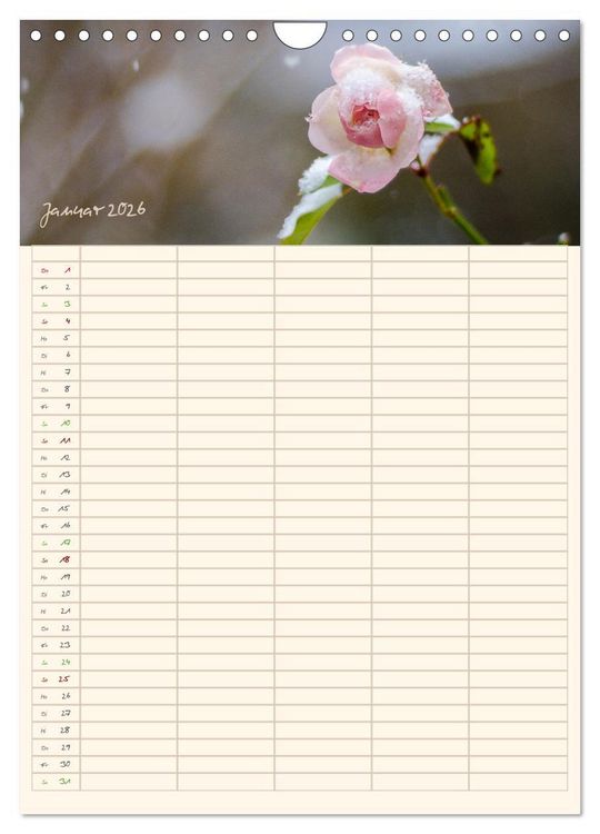 Produktbild: Mit Blick in den Garten (Wandkalender 2026 DIN A4 hoch), CALVENDO Monatskalender