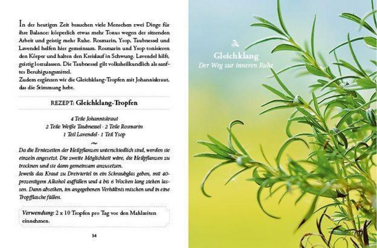Produktbild: Das gro&szlig;e kleine Buch: Vergessene Hausmittel