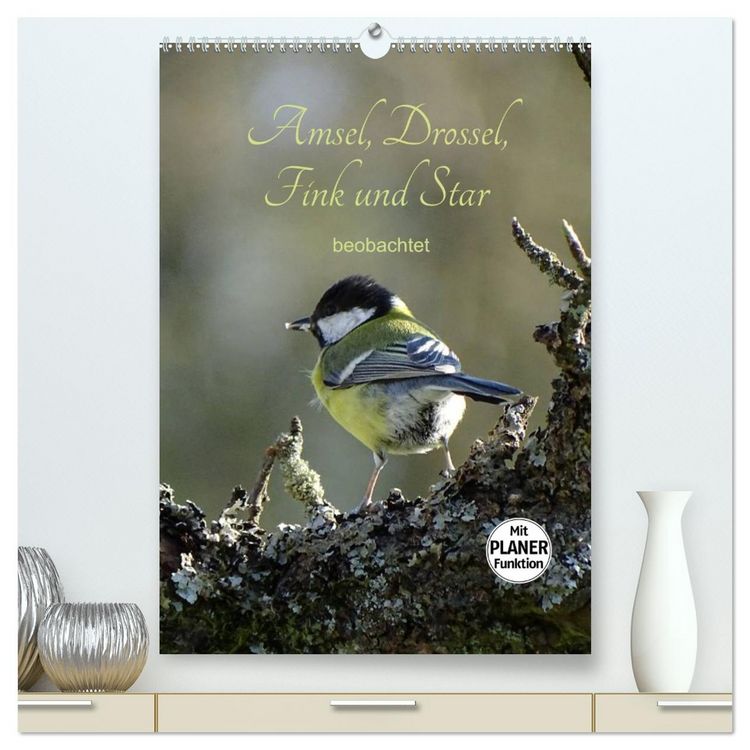 Produktbild: Amsel, Drossel, Fink und Star - beobachtet (hochwertiger Premium Wandkalender 2026 DIN A2 hoch), Kunstdruck in Hochglanz