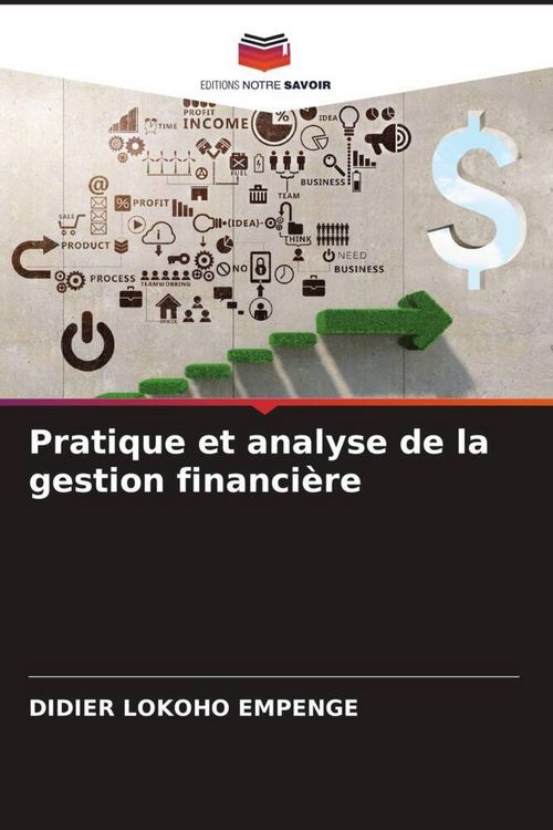 Produktbild: Pratique et analyse de la gestion financi&egrave;re