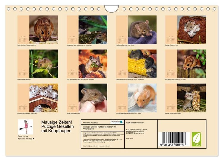 Produktbild: Mausige Zeiten! Putzige Gesellen mit Knopfaugen (Wandkalender 2026 DIN A4 quer), CALVENDO Monatskalender