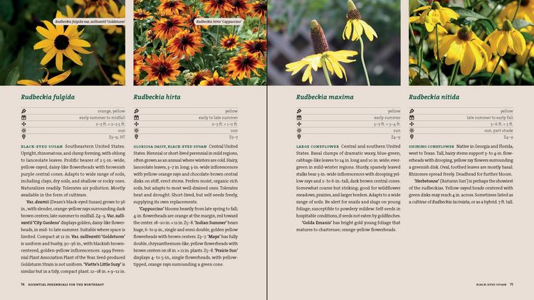 Produktbild: Perennials for the Northeast