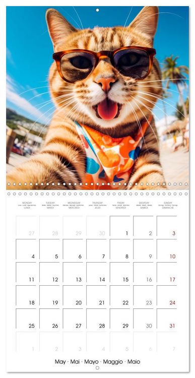Produktbild: Jolly Selfies (Wall Calendar 2026 12 &times; 12 Inch) CALVENDO 12 Month Wall Calendar