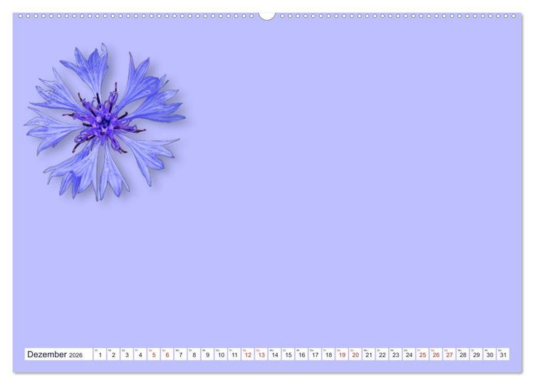 Produktbild: DIY POESIE - BASTELKALENDER (hochwertiger Premium Wandkalender 2026 DIN A2 quer), Kunstdruck in Hochglanz
