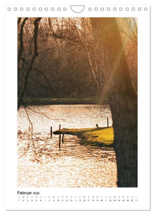 Produktbild: Mein Steinertsee (Wandkalender 2026 DIN A4 hoch), CALVENDO Monatskalender