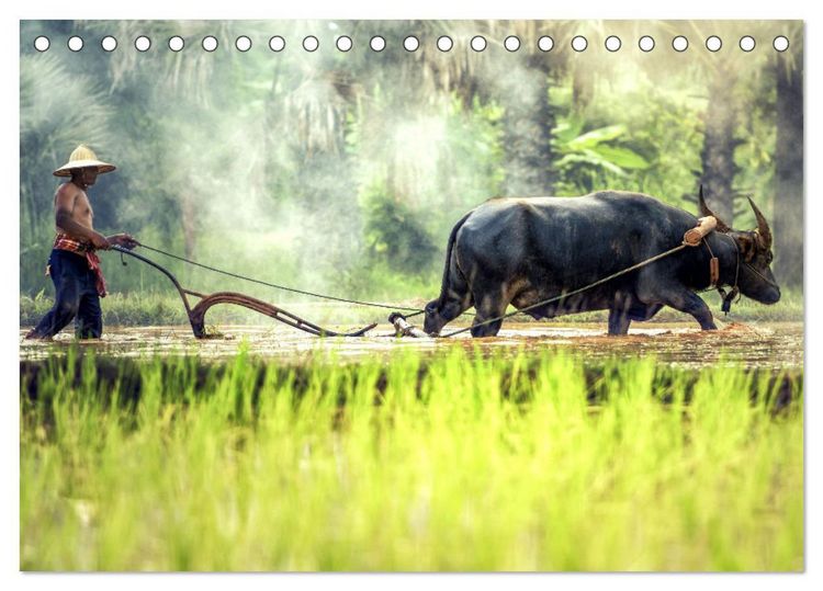 Produktbild: Landleben in S&uuml;dostasien. Menschen in Vietnam und Kambodscha (Tischkalender 2026 DIN A5 quer), CALVENDO Monatskalender