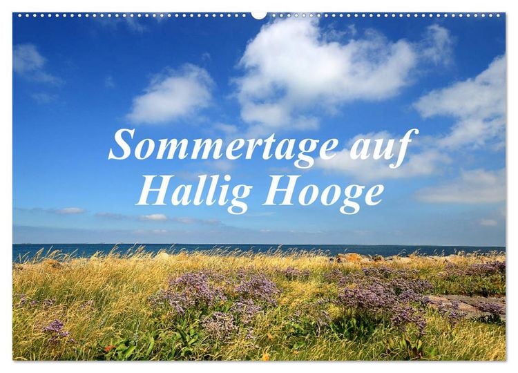 Produktbild: Sommertage auf Hallig Hooge (Wandkalender 2026 DIN A2 quer), CALVENDO Monatskalender