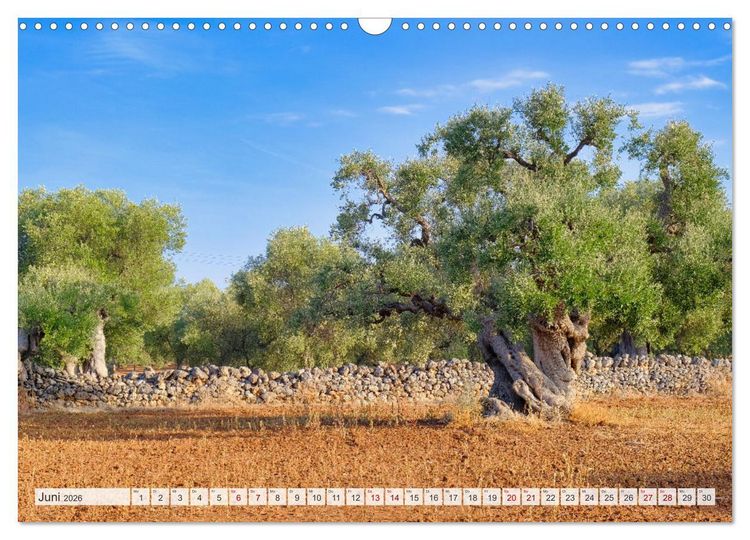 Produktbild: Faszinierendes Apulien (Wandkalender 2026 DIN A3 quer), CALVENDO Monatskalender