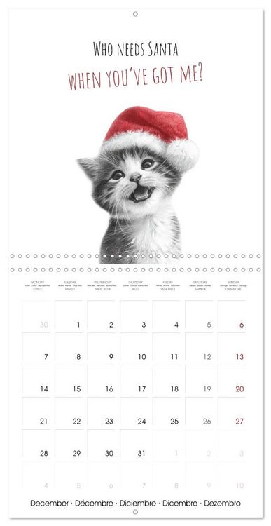 Produktbild: Purrfectly Cool Cats (Wall Calendar 2026 12 &times; 12 Inch) CALVENDO 12 Month Wall Calendar