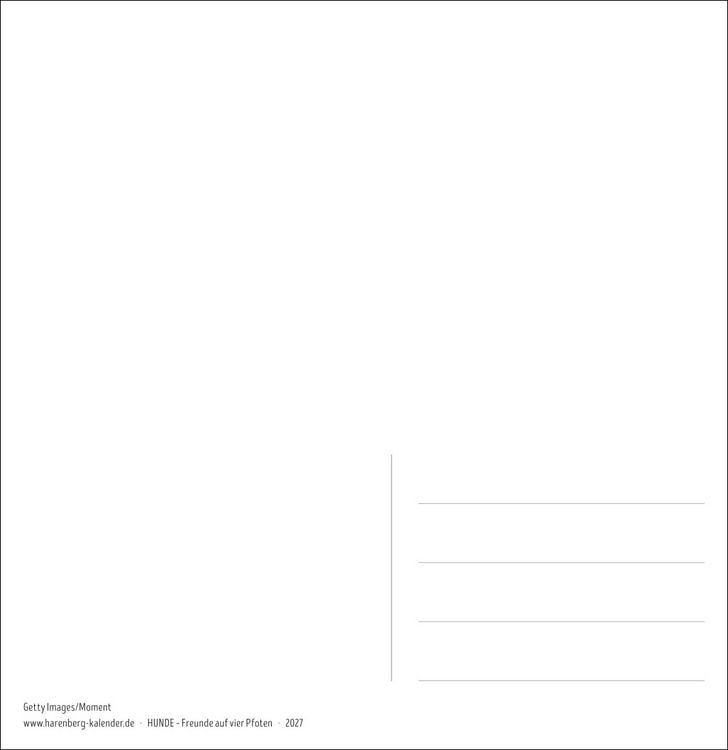 Produktbild: Hunde Premium-Postkartenkalender 2027 - Freunde auf vier Pfoten; Kalender mit 53 Postkarten