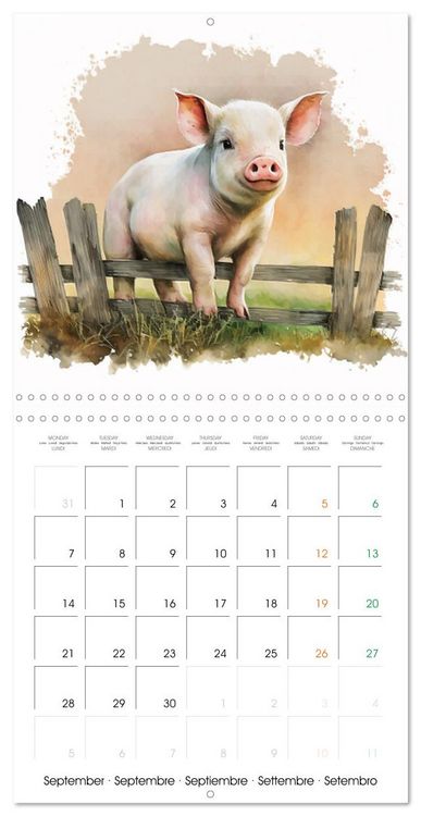 Produktbild: Regard sur la ferme (Calendrier mural carr&eacute; 2026 30x30 cm) Calendrier double avec une page pour vos prises de notes