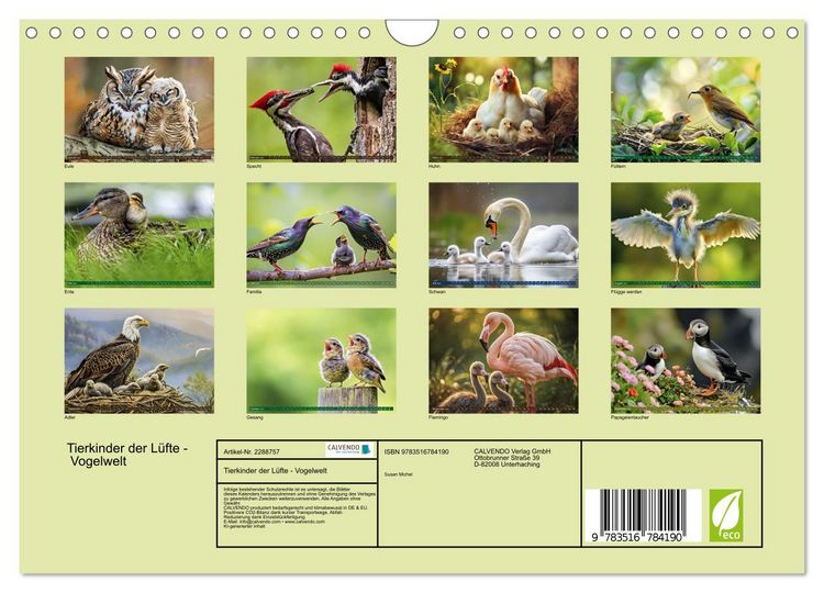 Produktbild: Tierkinder der L&uuml;fte - Vogelwelt (Wandkalender 2027 DIN A4 quer), CALVENDO Monatskalender