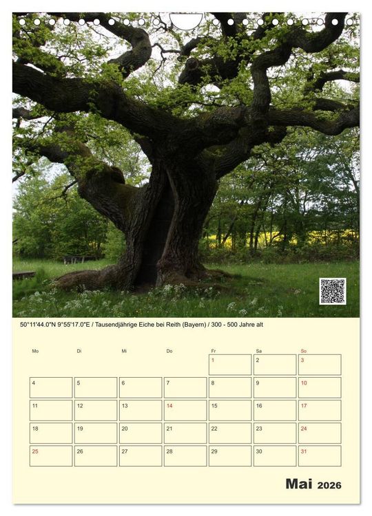 Produktbild: Uralt - Mit QR-Code und GPS zu alten B&auml;umen (Wandkalender 2026 DIN A4 hoch), CALVENDO Monatskalender