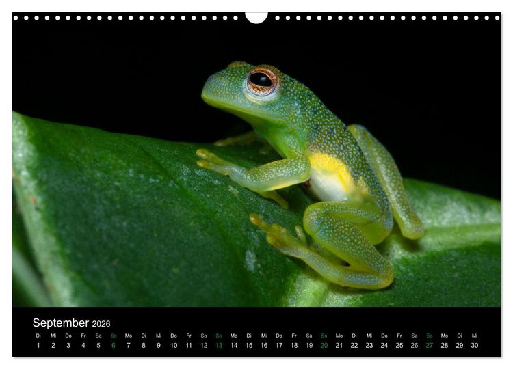 Produktbild: Costa Rica - Faszination Fr&ouml;sche (Wandkalender 2026 DIN A3 quer), CALVENDO Monatskalender