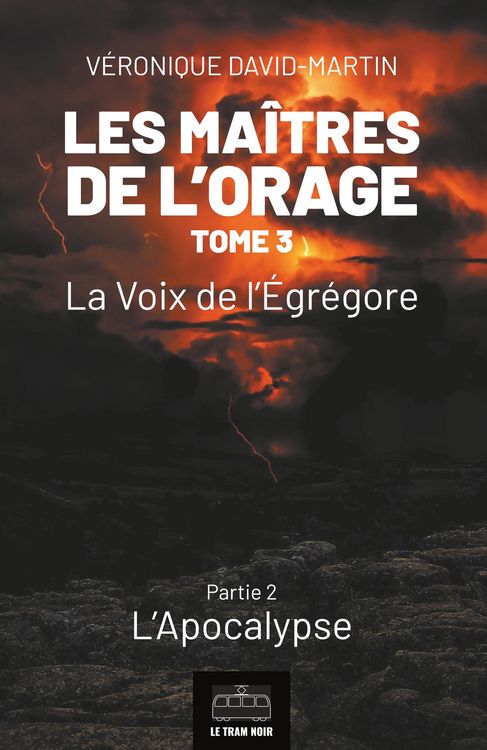 Produktbild: Les Ma&icirc;tres de l'orage - Tome 3 : Partie 2